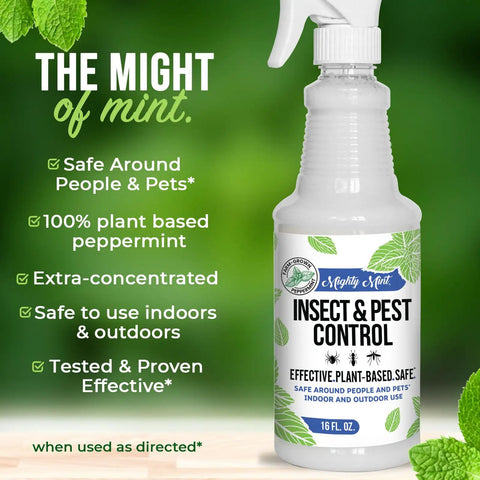 Natural Peppermint Bug Spray For Dogs And Cats Kickin Fleas And Ticks Away Safe For Kids And Pets Badass Natural Protection Allergen Free Garden Patio Defense 16 Ounce in a spray bottle with peppermint background.