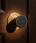 Heavy Duty Stainless Steel Decorative Deadbolt Cover Plate For Entry Doors with Slick Black Round Filler on a vintage door knob.