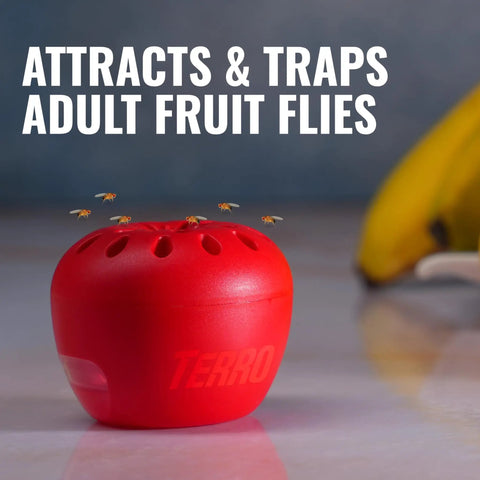 Indoor Fruit Fly Trap 4 Pack With 180 Day Food Based Lure, red apple-shaped trap catching adult fruit flies.