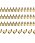 Top Shelf M2.5 Hex Brass PCB Standoffs With Female Threads 50 Piece Kit For FPV Drones Quadcopters And Motherboards showing hex brass standoffs in gold finish.