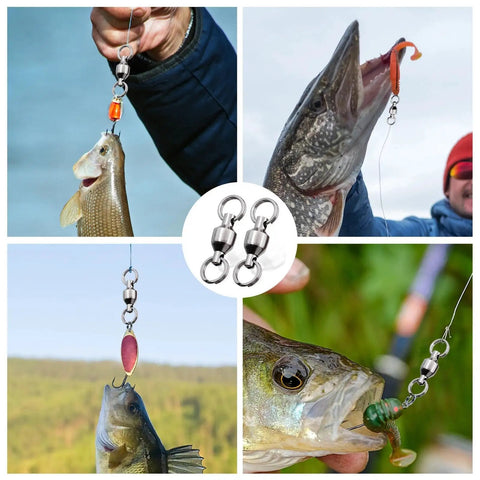 Heavy Duty Stainless Steel Ball Bearing Swivels With Split Rings For Tough Saltwater Surf Fishing Tackle featuring various fish caught.
