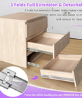 12 Inch Soft Close Stainless Steel Drawer Slides 1 Pair shown in a light wood cabinet with drawers partially open.