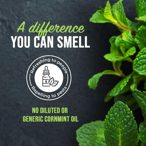 Natural Peppermint Bug Spray For Dogs And Cats Kickin Fleas And Ticks Away Safe For Kids And Pets Badass Natural Protection Allergen Free Garden Patio Defense 16 Ounce with mint leaves and pest protection label.