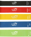 Heavy Duty Resistance Loop Bands Set Of 5 With Travel Pouch And Instruction Guide For Full Body Conditioning Core Strengthening And Flexibility Training To Help You Crush Your Daily Gym Hustle, featuring five colored bands.