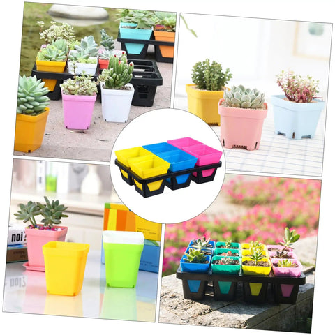 Movable Indoor Plant Pots With 6 Grid Germination Tray For Seedlings And Succulents Hydroponic Grow Tray System Durable Plastic Nursery Kit For Easy Maintenance And Pro Grade Home Garden Setup, colorful succulents