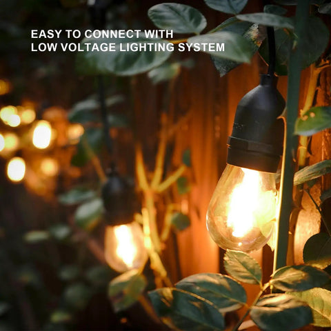 Close-up of warm white 50ft low voltage string lights with 10 2W bulbs, 135 lumens each, weatherproof, outdoor garden decor, glowing among leaves.