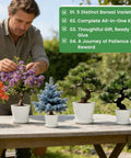 Man trimming bonsai trees with Beginner Bonsai Kit With Five Seed Packets Five Grow Pots And Essential Tools For Indoor Bonsai Growth All In One DIY Craft Gardening Set Planters Soil Discs Pruning Shears Markers Great Gift For Adults Men And Women on a wooden table