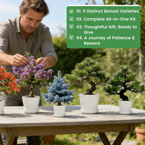 Man trimming bonsai trees with Beginner Bonsai Kit With Five Seed Packets Five Grow Pots And Essential Tools For Indoor Bonsai Growth All In One DIY Craft Gardening Set Planters Soil Discs Pruning Shears Markers Great Gift For Adults Men And Women on a wooden table