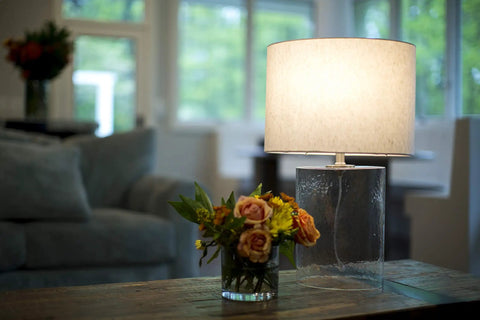 Table lamp with Pro Series A19 75W Equivalent LED Bulbs 1100 Lumens Daylight 5000K in living room setting