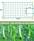 Beefed Up Heavy Duty Garden Trellis Netting For Climbing Plants Outdoor Support 9.85 By 6.6 Feet With 27 Strands And 4 By 4 Inch Mesh Grow Net For Vines Cucumbers Tomatoes Beans Fruits And Vegetables displayed with peas climbing.