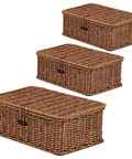 Three Piece Rectangular Woven Storage Bins With Lids Feature Slick Plastic Rattan Construction To Keep Your Home Tidy And Knocking Out Daily Clutter With Zero Hassle Prime Pick For Any Home Or Office in brown.