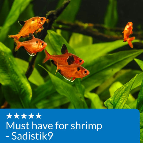 Straight Up Legit Copper Test Kit For Aquariums with vibrant fish swimming among lush green plants in an aquarium setting.