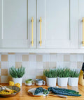 Boss Level 10 Inch Brushed Gold Kitchen Cabinet Handles 10 Pack on modern cabinets in a kitchen with countertop herbs.
