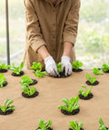 Biodegradable Paper Weed Barrier 2 Pack 100 Feet Each for Garden and Lawn installed with plants growing through it
