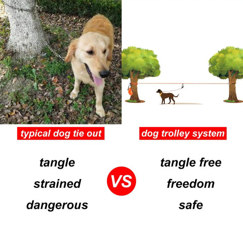Comparison of typical dog tie-out and 50 Ft Dog Tie Out Cable With Overhead Trolley System for Camping and Yard Use.
