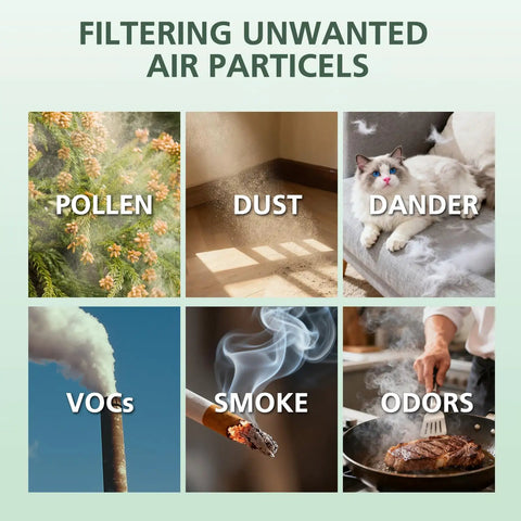 Collage showing filtration of pollen, dust, dander, VOCs, smoke, and odors, with text 'Filtering Unwanted Air Particles'.