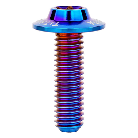 High Performance Grade Five Titanium Torx Bolts And Dished Head Screws In Bold Burnt Blue Finish M5 And M6 Sizes With M6 By 20 Millimeter Spec For Street Legal Builds, M6 burnt blue screw.