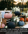 Rainbow Pumpkin Patch Seeding Kit With 20 Mixed Seeds for pink, blue, black, orange, white gourds on decorated table.