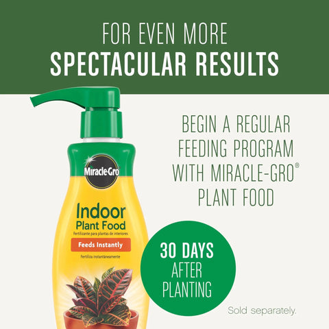 Miracle-Gro Indoor Plant Food bottle with dispensing pump for houseplant care, ensures plants thrive after planting.
