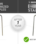 Comparison of rusty non-galvanized staples with rust-free 6 Inch Landscape Staples 9 Gauge Galvanized Steel Ground Cover Pins.