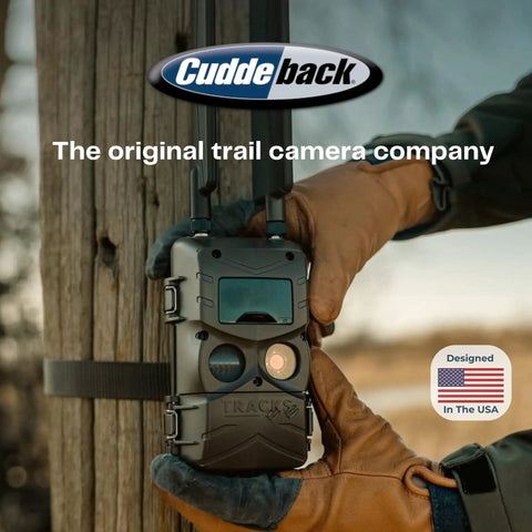 Keep Your Trail Cams Rolling Smooth All Season Long With This Top Rated Heavy Duty Solar Power Bank For CuddeLink And Tracks Two Pack Wildlife Monitoring Setup, close-up of trail camera attached to tree.