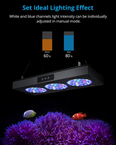 Reef Light Controller And LED Timer For HyperReef 50 100 150 Gen 1 showcasing lighting effect over coral