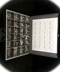 Head Cap Screw Assortment Kit Pro Grade 18-8 Stainless Steel Fasteners displayed in organized box compartments with label