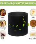 Budget Friendly Shop Vacuum Filter Kit With Foam Sleeves And Reusable Dry Disc Filters showing foam sleeve and uses