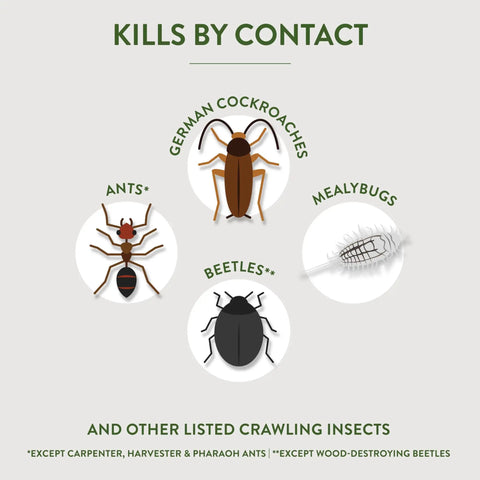 Illustration showing insects targeted by Crawling Insect Killer With Diatomaceous Earth For Organic Home Garden Use Kills Cockroaches Ants