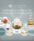 Kyoto 2-In-1 Tea Kettle And Tea Maker Glass Teapot With blooming tea, teacups, warranty, supplier for 5-star hotels