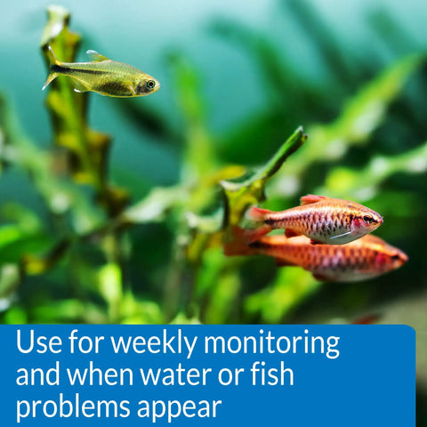 Freshwater Aquarium Test Kit Has 800 Tests For Ph Ammonia Nitrite And Nitrate To Maintain Safe Crystal Clear Water Protecting Fish From Harmful Spikes While Tracking Tank Stats On Point For Your Aquatic Squad Ensuring Legit Results Daily with colorful fish swimming among plants.