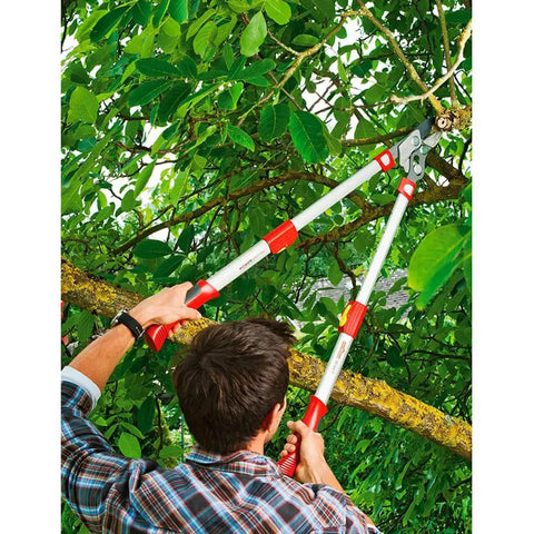 Lightweight Telescoping Anvil Lopper With Extension Handles Reaching To Thirty Five Point Five Inches Premium German Steel Blade used for tree branch trimming.