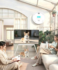 Top Shelf 6 Pack Smoke Detectors and Air Quality Monitors with 10 Year Battery Life on wall in living room with women and dog.
