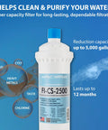 Replacement FI-CS-2500 Filter For CS-2500 Water Filtration System US Made High-Flow Bacteriostatic Filter product image with benefits