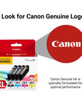 Canon XL Four Color Dye Based Ink Value Pack Black Cyan Magenta Yellow for TR8520 TS9120 TS8120 TS6120 TS9521C printers