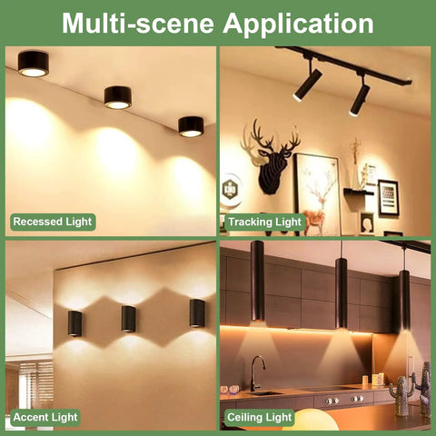 Various lighting applications including recessed, track, accent, and ceiling lights in a home setting.
