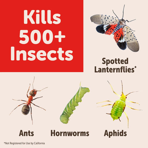 Garden Insect Killer Concentrate 32 Oz Easy To Use Mix With Water And Spray Kills 500 Plus Pests Without Hurting Plants Lasts