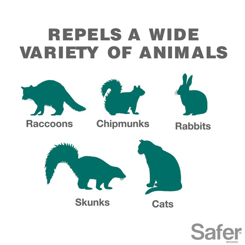 Critter Ridder Animal Repellent Granules For Organic Pest Control 2 Lb Protects Up To 120 Sq Ft targets raccoons, skunks, cats.