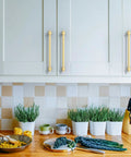 Close-up of 10 Pack 10 Inch Brushed Gold Cabinet Handles mounted on white cabinets in a kitchen setting.