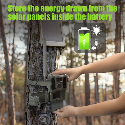 Rechargeable Lithium Cell Pack For Reveal Trail Cameras Ultra X X Pro Pro 30 Generations mounted on a tree with solar panel.