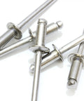 Size Forty Four Button Head Blind Rivets One Eighth Inch Diameter with corrosion-resistant stainless steel finish.