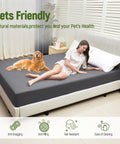 Grounding Sheets Queen Size With 10 Percent Silver Fiber And 90 Percent Organic Cotton Fitted Deep Pocket Bed Kit, gray sheet on bed with woman and dog
