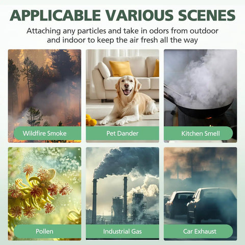Scenes showing wildfire smoke, pet dander, kitchen smell, pollen, industrial gas, car exhaust; use HEPA Replacement Filter For Tower Purifier Pure Cool Link TP01 TP02 TP03 AM11 BP01 Models 968126-03 Totally Fits 305158-01 305159-01 308400-01 308401-01 2 Pack