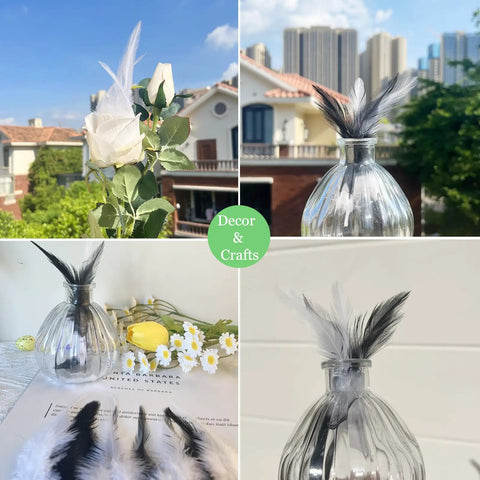 Rooster Saddle Feathers Craft Pack 200 Pcs 5 To 7 Inches in a decorative vase with flowers and city view