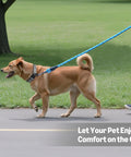 Built Tough Heavy Duty Round Dog Leash Featuring A Comfy Cushioned Grip Handle And Durable Recycled Polyester Rope Perfect For Daily Strolls And Pup Training Adventures In Blue Six Feet with dog walking on a path.