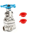 304 Stainless Steel Gate Valve Half Inch Full Bore With Wheel Handle Forged Sluice Valve for Water Oil Gas
