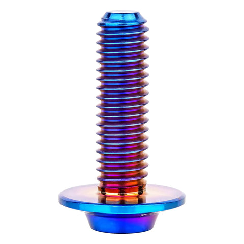 High Performance Grade Five Titanium Torx Bolts And Dished Head Screws In Bold Burnt Blue Finish M5 And M6 Sizes With M6 By 20 Millimeter Spec For Street Legal Builds, M6 torx bolt with dished head.
