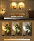 Rechargeable Indoor LED Spotlight Kit With Smart Auto Timer 5500mAh Battery 3 CCT Dimmable Uplights showing dimmable settings and color temperatures