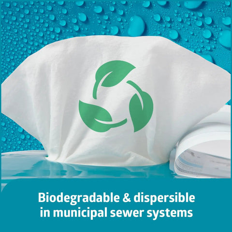 ReadyFlush Biodegradable Flushable Wipes 576 Count In 24 Pack Of 24 Hydraspun Dispersible Fibers with green eco symbol