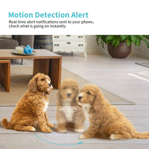 2K HD Pet Camera With 360 Degree Pan Tilt 8X Optical Zoom Night Vision capturing motion of a dog in a living room